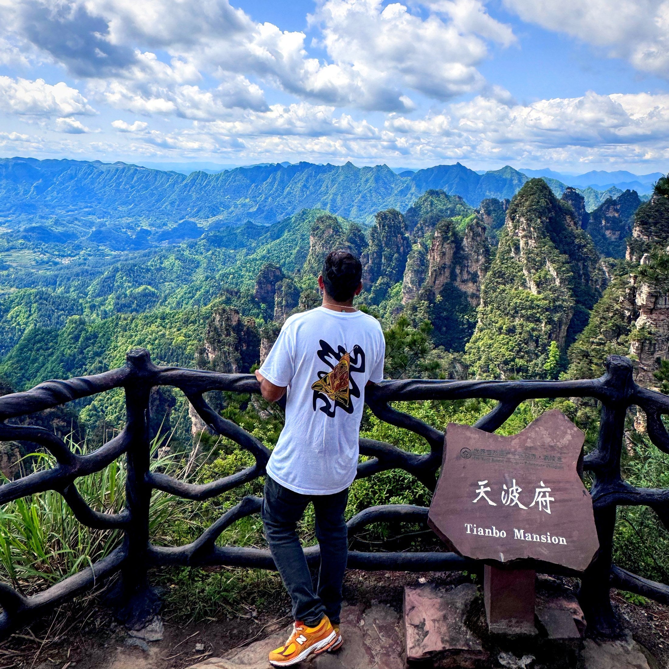 Wild & Cosmic — Altiplano Moth tee worn in the green mountains
