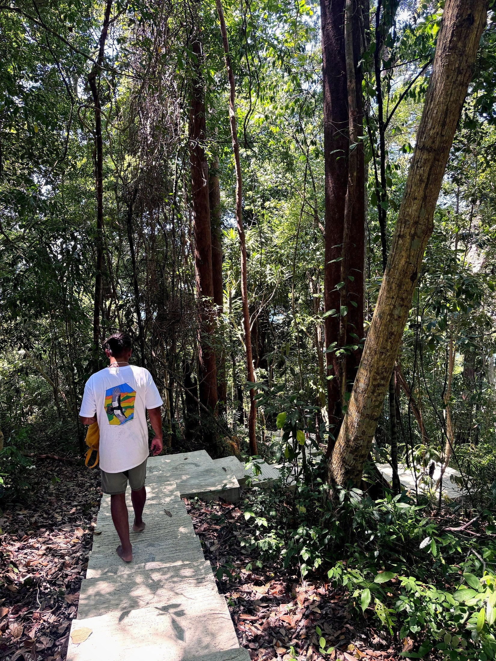 Andean Roots — Altiplano Condor tee worn outdoors