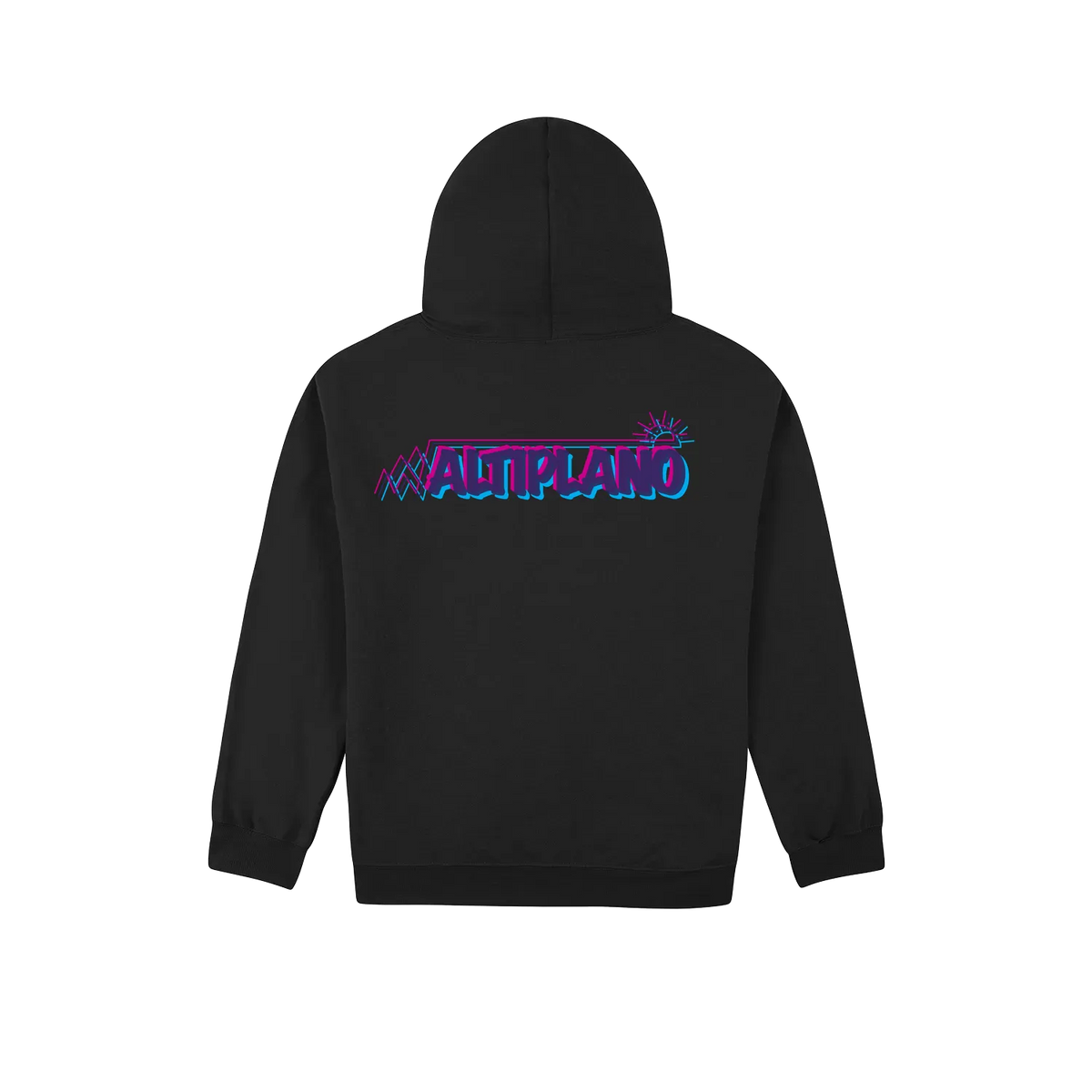 Altiplano Condor Glitch hoodie in Black - ALTIPLANO back