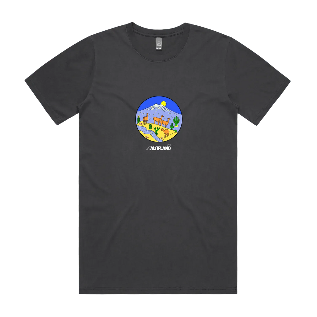 Faded Black front flat lay