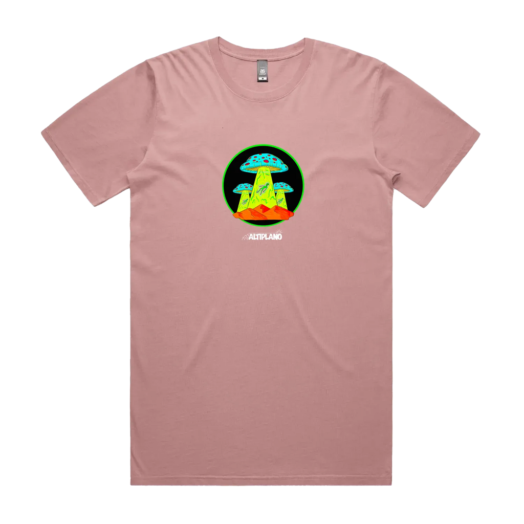 Faded Rose front flat lay