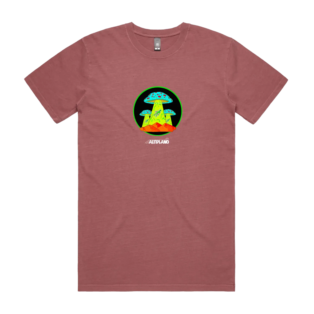 Faded Wine front flat lay