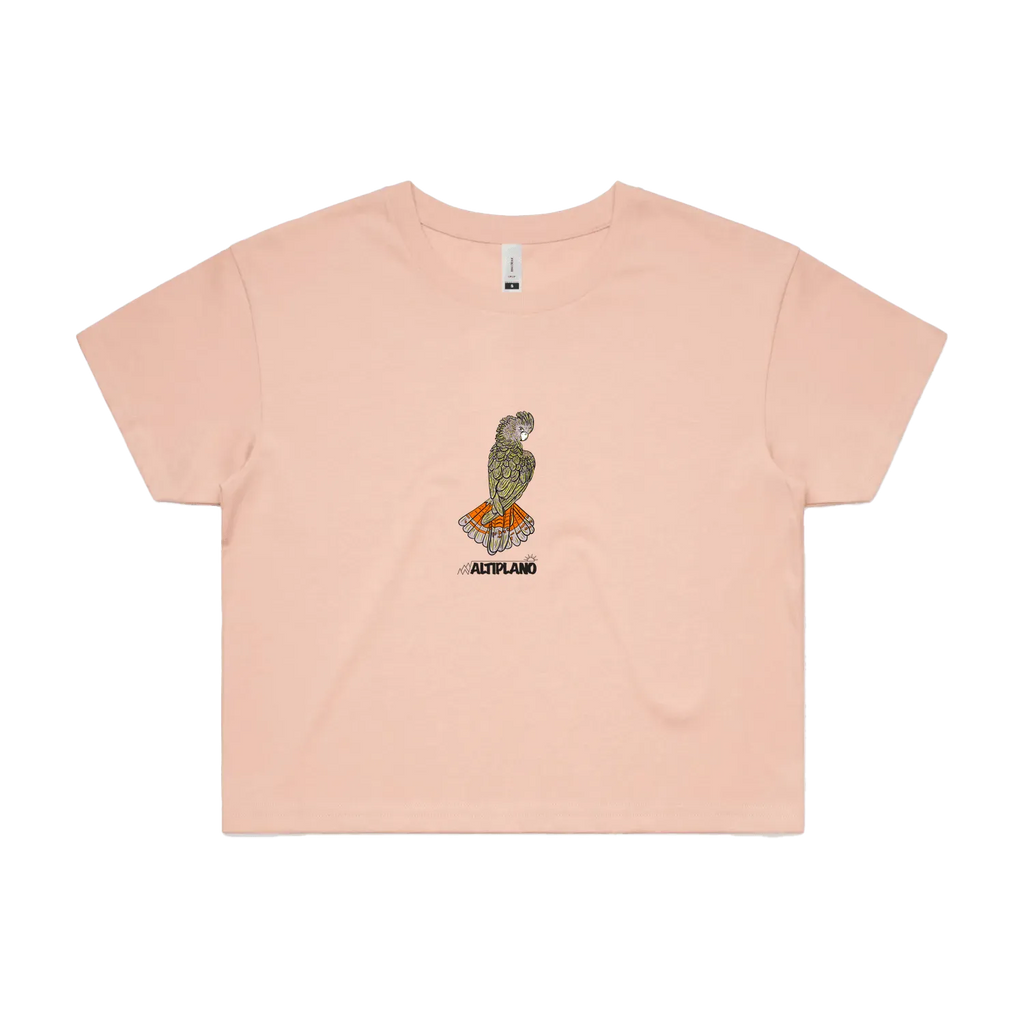 Pale Pink front flat lay