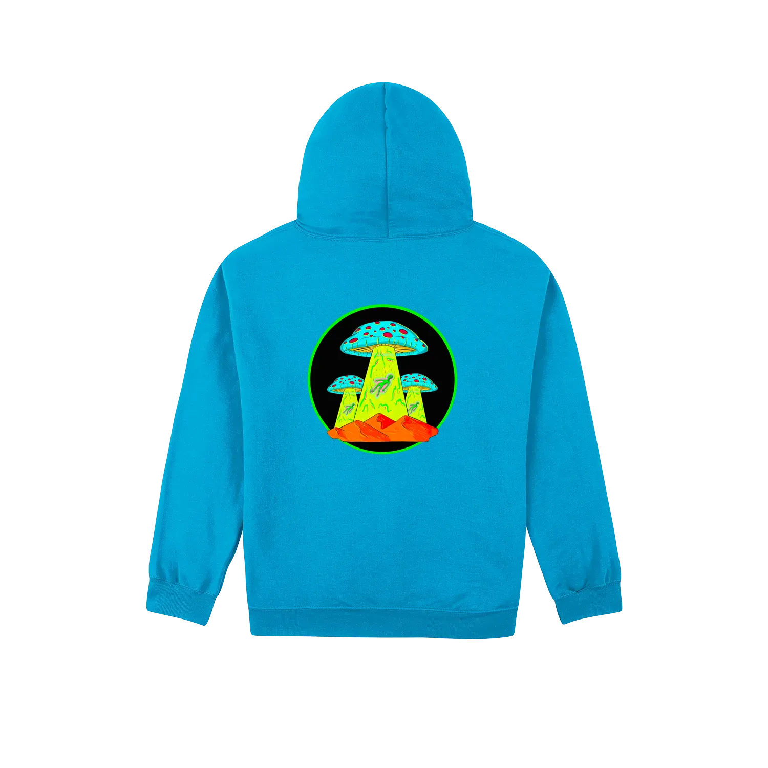 Altiplano Mushroom UFO hoodie in Sapphire - back print