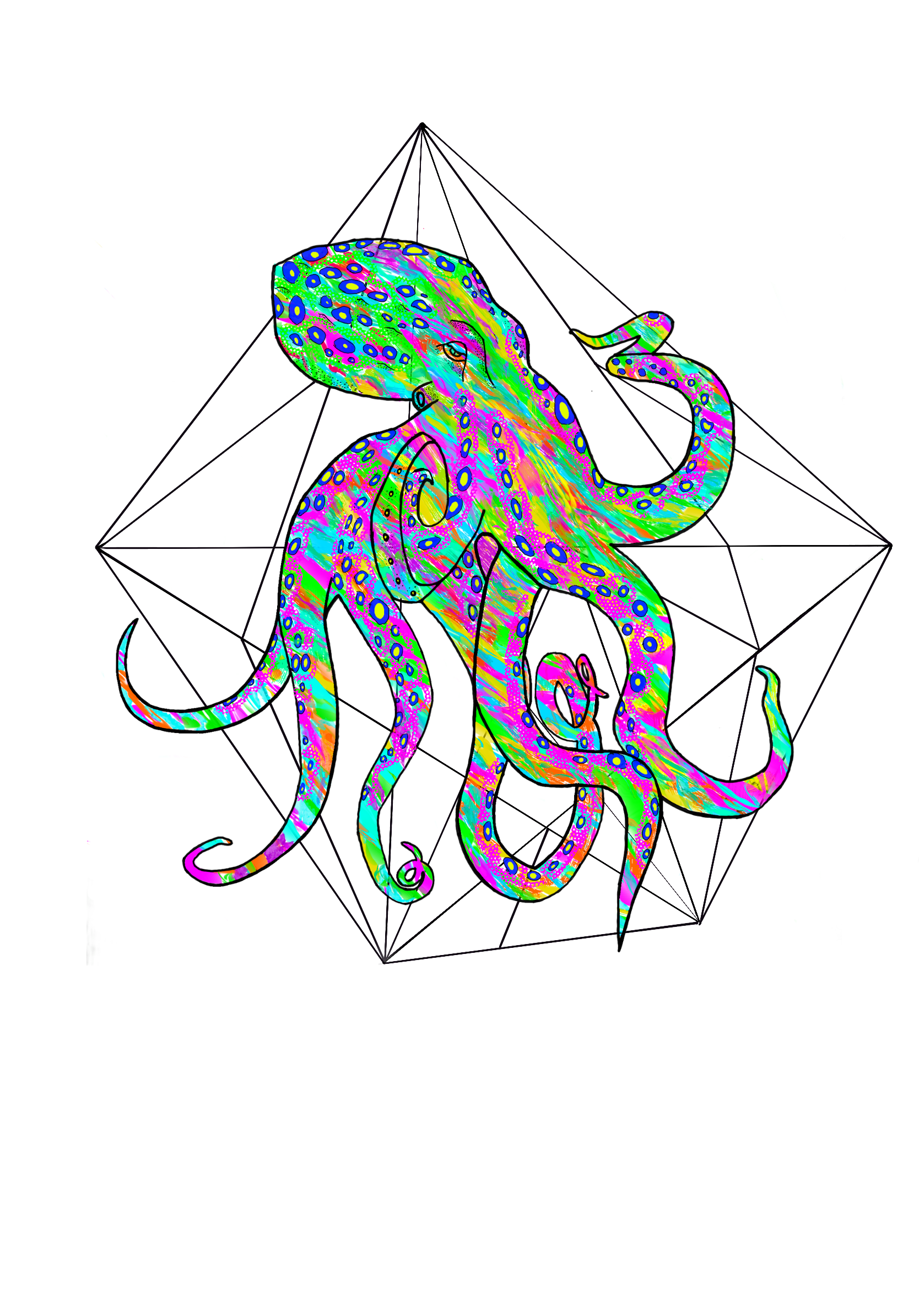Altiplano Octopus design artwork