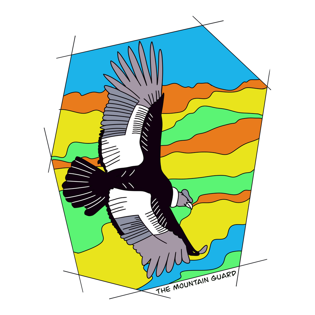 Altiplano Condor design artwork