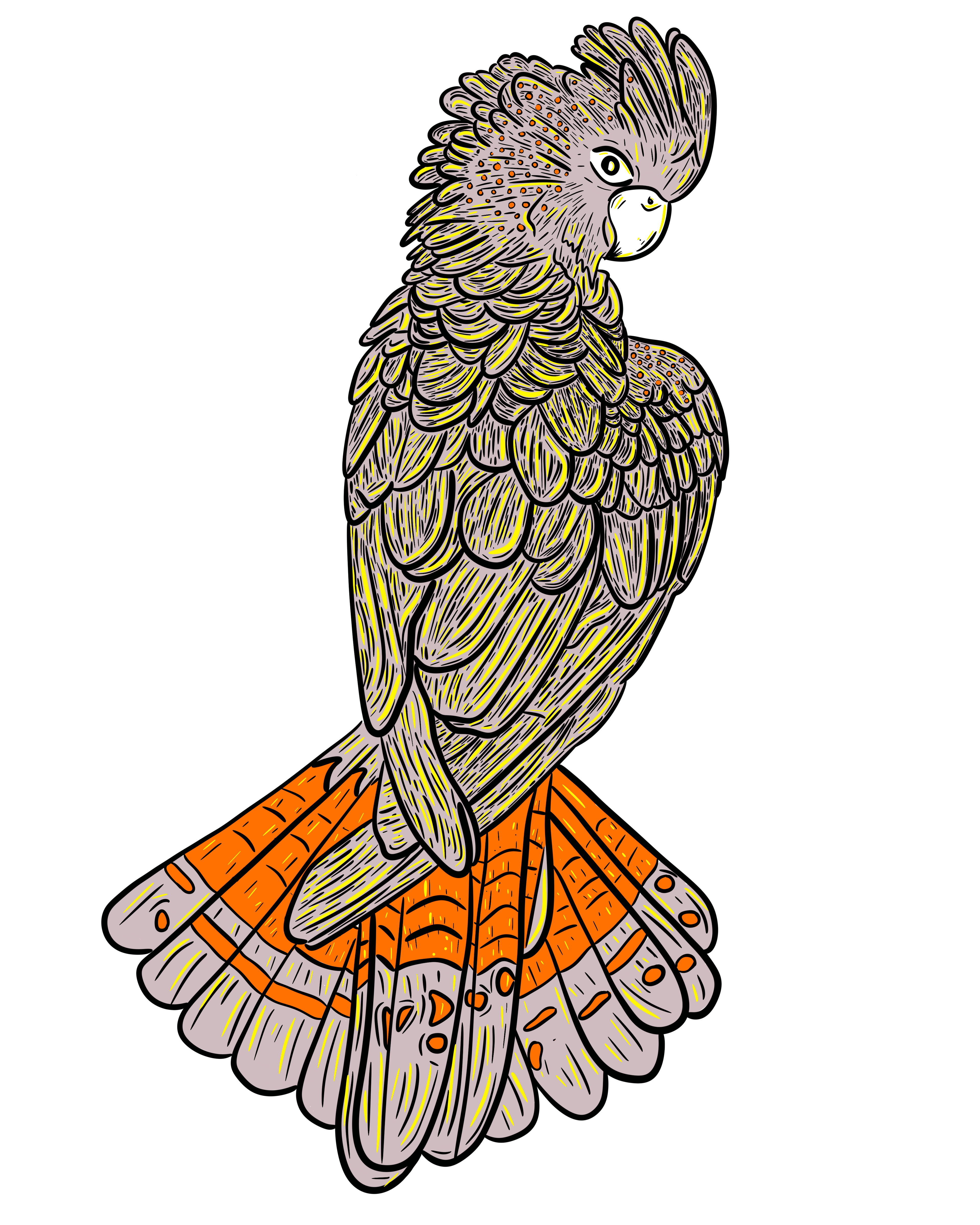Altiplano Cockatoo design artwork