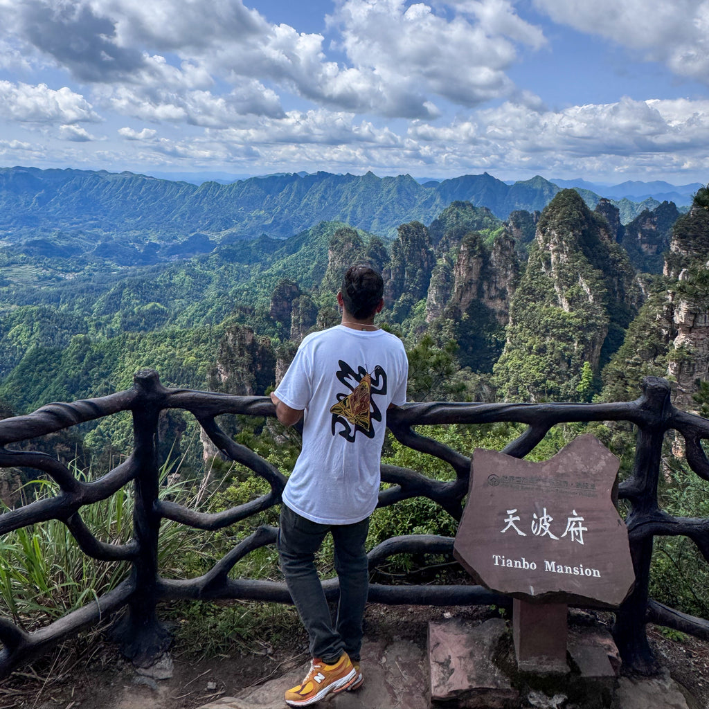 Altiplano Moth tee worn in the green mountains