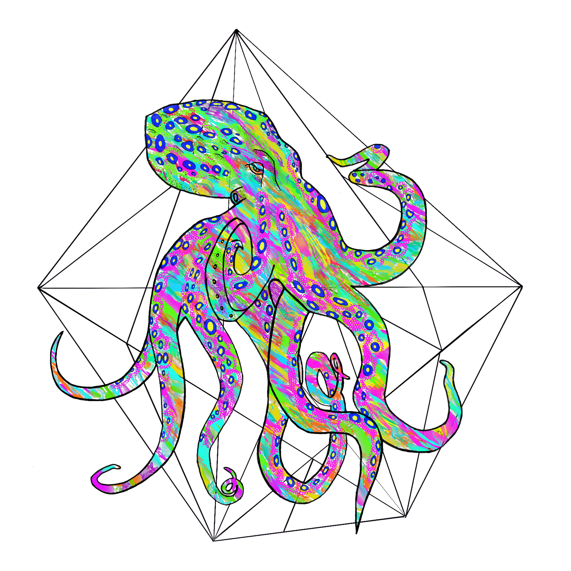 Altiplano Octopus design artwork