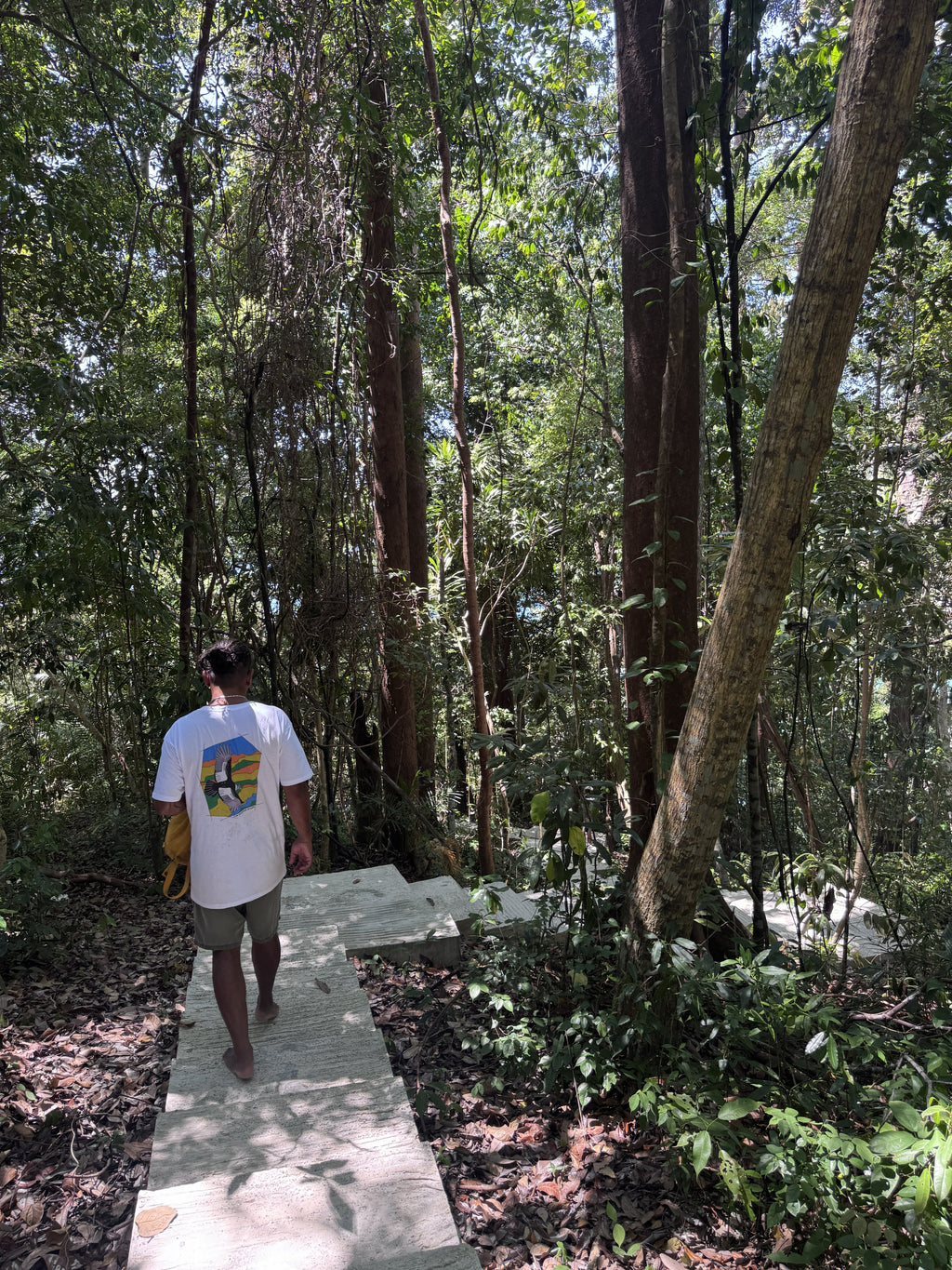 Altiplano Condor Glitch tee worn outdoors