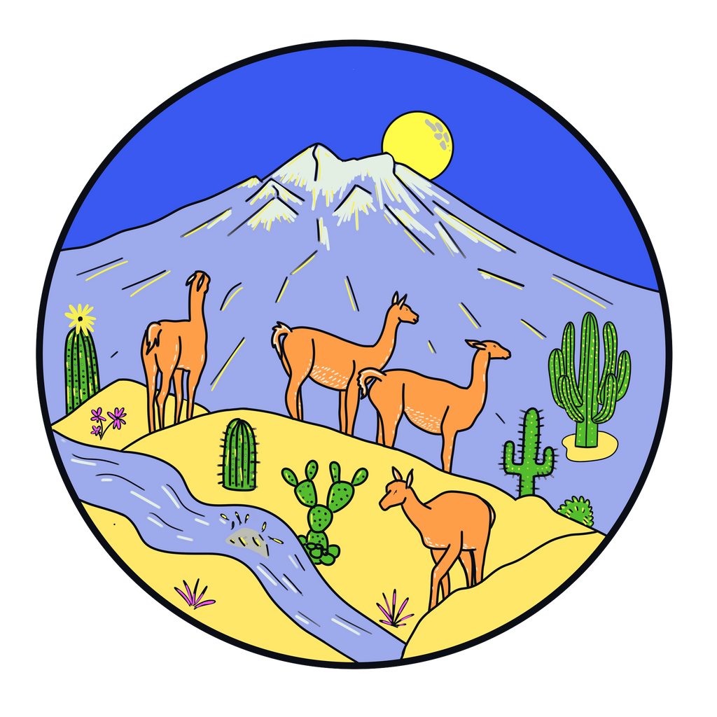 Altiplano Andes Llama design artwork